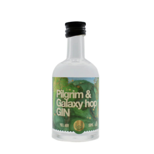 Pocketful of Stones Pilgrim & Galaxy Hop Gin 5cl Miniature